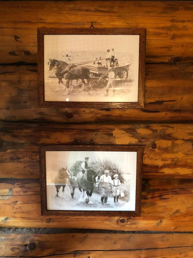 B&B Le Corone - Chalet Nel Bosco Cavalo Eksteriør bilde