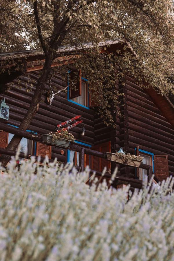 B&B Le Corone - Chalet Nel Bosco Cavalo Eksteriør bilde